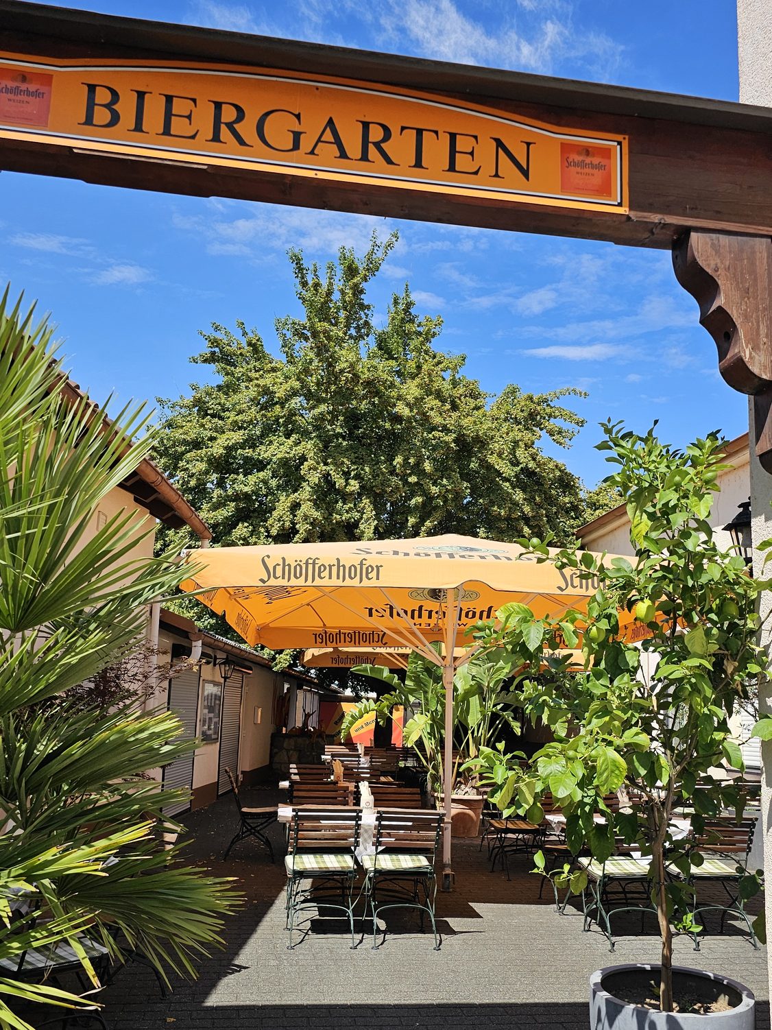 Eingang zum Biergarten mit Schild „Biergarten“, Palmen und Sonnenschirmen
